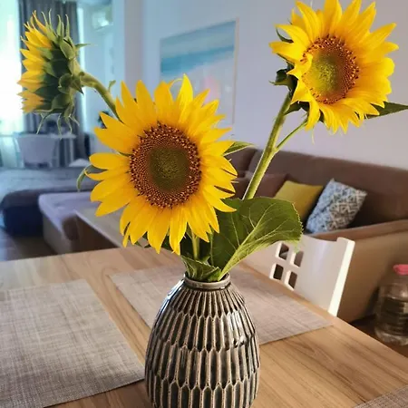 Silver A 27 Apartment