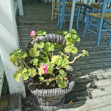 Apartment Silver A 27 Byala (Varna)